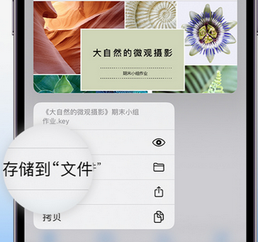 清河apple维修中心分享iPhone文件应用中存储和找到下载文件