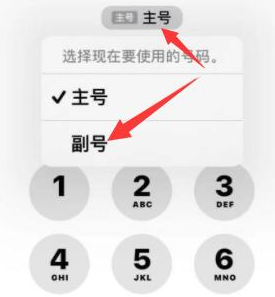 清河苹果14维修店分享iPhone 14 Pro Max使用副卡打电话的方法 