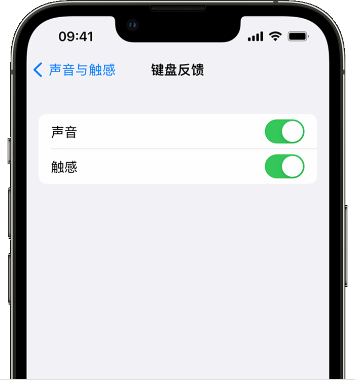 清河苹果14维修分享iPhone 14 系列机型如何开启键盘声音或触感反馈 