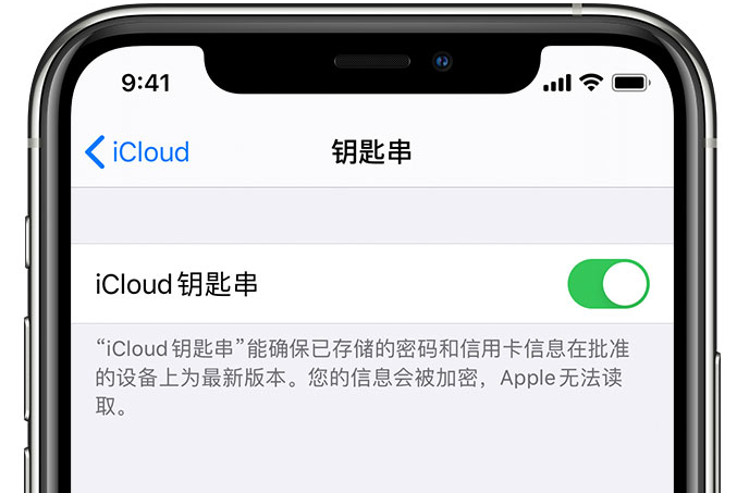 清河苹果手机维修分享在 iPhone 上开启 iCloud 钥匙串之后会储存哪些信息 