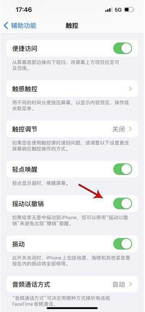 清河苹果手机维修分享iPhone手机如何设置摇一摇删除文字 