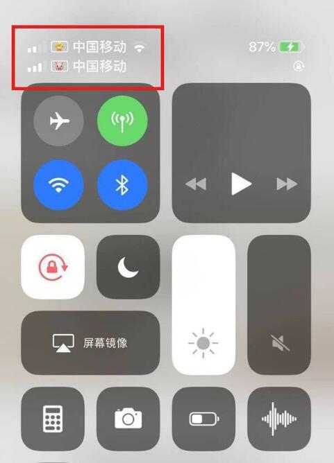 清河苹果手机维修分享为 iPhone 12 双卡设置标签 